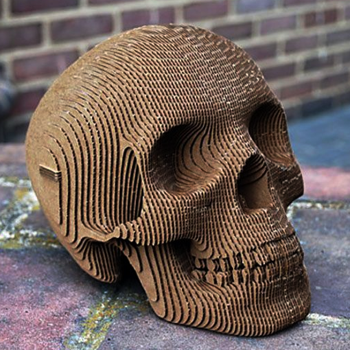 Vince Human Cardboard Skull - The Unusual Gift Company