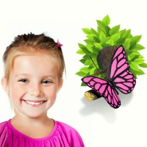 3D Deco Light ~ Pink Butterfly ~ Looks Like The Branch is Growing Out of The Wall! ~ Games Room/Kids Room - The Unusual Gift Company