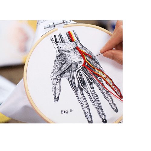 Blood Vessel Embroidery Kits - The Unusual Gift Company