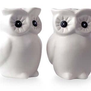 Owl Salt & Pepper Set - The Unusual Gift Company
