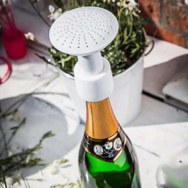 Champagne Shower - The Unusual Gift Company