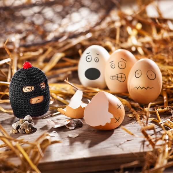 Funky Eggs Egg Warmer - The Unusual Gift Company