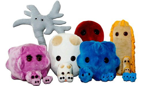 Gigantic Microbes - The Unusual Gift Company