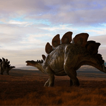 Inflatable Stegosaurus - The Unusual Gift Company