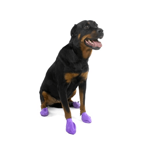 Pawz Dog Boots - The Unusual Gift Company