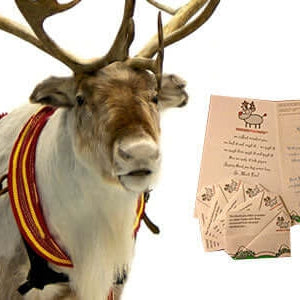 Reindeer Poo Writing Paper - The Unusual Gift Company