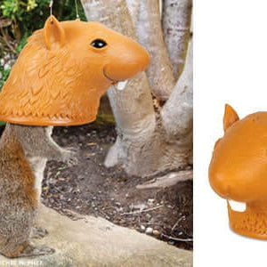 Big Head Squirrel Feeder - The Unusual Gift Company