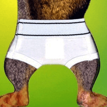 Squirrel Underpants - The Unusual Gift Company