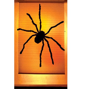 WoWindow Poster - Black Widow Spider - The Unusual Gift Company