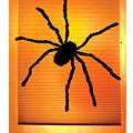 WoWindow Poster - Black Widow Spider - The Unusual Gift Company